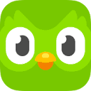 Duolingo Super Rescue Works icon